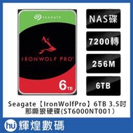 Seagate那嘶狼IronWolf Pro 6TB 3.5吋 NAS專用硬碟 (ST6000NT0001)