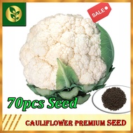 Cauliflower Seeds | Cauliflower Seed | Vegetables seeds | Golden Plant and Seed Store