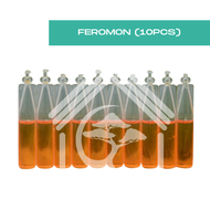 [EFFECTIVE] Fruit Fly Trap Pheromone Yellow Attractant Cover / Penutup Botol Perangkap Lalat Buah Fe