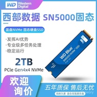 Produk Baharu WD/Western Digital SN5000 2TB Pemacu Keras Digital Barat PCIE 4.0 NVME SSD Pemacu Kead