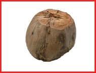 ❑ △ ◔ COD BUNOT / BUNOT / COCONUT HUSK