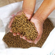 8kg Dedak ikan | fish food | feed | makanan ikan makanan ikan kolam tilapia koi