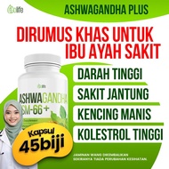 ASHWAGANDHA KSM-66 GOLIFE HQ 100% ORIGINAL | 45 BIJI DLM 1 BOTOL KUALITI PREMIUM HARGA BERPATUTAN