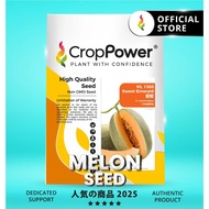 (100 SEEDS) Biji Benih Melon Sweet Emerald 碧蜜 ML1588 CROP POWER Hami Melon Seeds 哈密瓜种子 ML 1588 蜜瓜种子