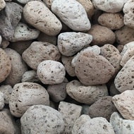 Pumice Pumice Pumice 2KG+WARING Aquarium Filter Media Hydroponic Aquascape Pond
