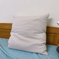 IKEA抱枕+兩款枕套 鴨毛 軟款