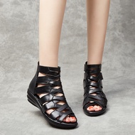 【Popular choice】 Gladiator
