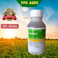 500ml LOYANT RACUN RUMPAI PADI PASCA CAMBAH (SAMBAU/KELADI AGAS/CABAI KERA DAN LAIN2)