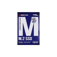 256 GB SSD (เอสเอสดี) BIOSTAR M760 - PCIe 3/NVMe M.2 2280 ::