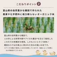 【the kindest】Organic Koshihikari Soft Rice Porridge from Toyama 100g × 5 Pack【Baby Food / 7 Months+ 