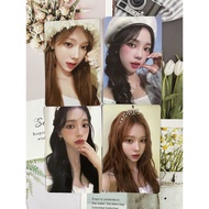 现货 官方正版 贝雷柚 柳智敏 aespa 台历小卡 雪帽 特典卡 明星卡 winter KARINA aespa photocard