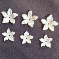 WHOLESALE LILY PETALS BW | Pound Pound