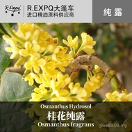 French Dew Pure Dew Osmanthus Dew Raw Material Flower Facial Pure Water Beauty Salon Wholesale Appli
