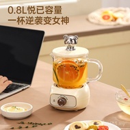 Electric mini Health Small Wholesale Health Household Stew Office Health Cup Multi-Function Pot Cup 