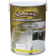 1kg GALAXY All Weather Multi Sealer 45 ( AWM 45 ) Oil Base Epoxy Floor Paint Performance Waterproof Coating Stone Leak