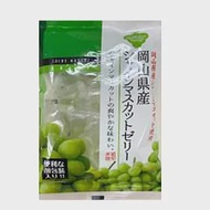 《日本豐榮軟糖》麝香葡萄口味180g