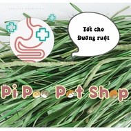 Timothy Jonsanty hay