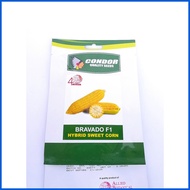 ✸ ✗ ▤ Condor Bravado F1 Hybrid Sweet Corn Seeds