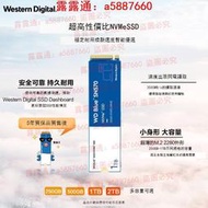 WD西數 SN570 500G筆記本電腦SSD臺式機西部數據sn770 固態硬盤1t