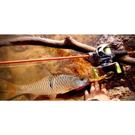 Zeeks Orenji BFS Rod Casting 4-10lb