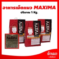 Maxima อาหารแมว แม็กซิม่า แบบแบ่งขาย 1kg (แบ่งจากกระสอบของแท้)