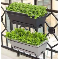Sprout lab | Rectangle Plant Pot (50cm x 19cm x 15cm)