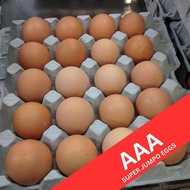 AAA Super Jumbo Eggs 20pcs – Extra Large, Extra Rich