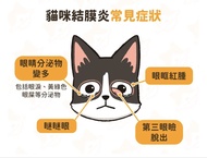 寵物用 貓 狗 消炎 眼水 眼藥水 眼腫 眼紅 發炎 眼瞼炎 眼簾炎 眼皮炎 台灣製