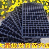滿300苗盤西紅柿辣椒穴盤苗木多肉葉插苗托盤露天市集全臺最大的網路購物市集