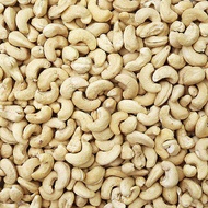 India Premium Raw Cashew Nut / Kacang Gajus Mentah 1 kg / 500g / 250g