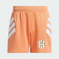 Men's Casual Thermal Lined Straight Leg Shorts, Suitable For Spring/Autumn, IU2801