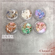 Manicure Shells Sequins Materials Colorful Shell Pieces Jewelry Decoration Accessories Abalone