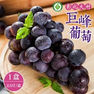 【禾鴻】 彰化大村巨峰葡萄2.5斤x1盒(3串/盒_產銷履歷)【預購】