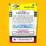 Top BENIH KUBIS - GRAND 11 - 15 Gram - Cap kapal terbang - green nova polaris summer autumn gutji Te