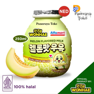Mujigae By Wonhae Melon Milk 250 ML