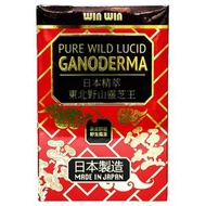 丸 WinWin日本精萃東北野山靈芝王60粒 原支研磨野生靈芝 菌中之上品