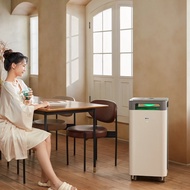 352Air Purifier Full Effect Decomposition Removes Formaldehyde, Bacteria, Smog, Odors, Allergies, an