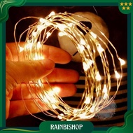 Christmas Tree Wire Lights - With 5, 2, and 1 Meter Long Batteries Can Be Used as a Hampers, Gift Se
