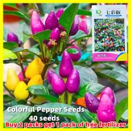 Colorful Pepper Seeds - High Yielding Variety 40 Seeds Hot Chili Pepper Seeds Organic Vegetable Seed