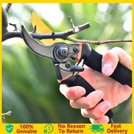 Pruning Shears Heavy Duty Garden Scissor Plant Cutter Branch Cutter Stainless Plant Scissors