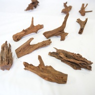 Driftwood XXS/SS 𝟳𝗰𝗺 → 𝟮𝟬𝗰𝗺 Kayu Hiasan Decoration wood Nano size driftwood for aquarium/paludarium/