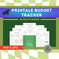 Printable Budget Planner | Budget Tracker | PDF Planner |