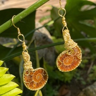 【斑彩螺化石】手作耳環 / 招財菊石