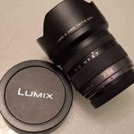 Panasonic Lumix G Vario 7-14mm 鏡頭