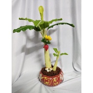 Clay banana pot 40cm high pasu bunga hiasan