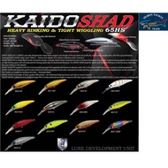 SENSES KAIDO SHAD 65HS