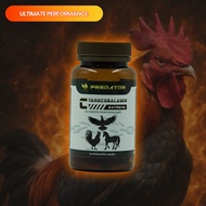 Cyanocobalamin Capsule (Vitamin B12) | For Animal Use Only