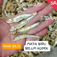 🌟 Ikan Bilis Belum Kopek 1kg Ikan Bilis Mata Biru Ikan Bilis Langkawi 江魚仔 Ikan Bilis Besar Ikan Bili
