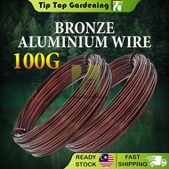 100g Bronze Color Aluminium Wire Bonsai Wire Modeling Aluminum Wire Dawai