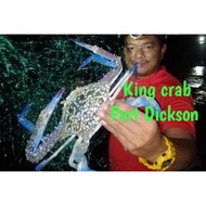 🔥Jaring pancing Ketam drone 8lapis berkualiti jaring ikatan 4 penjuru pada kantung umpan 🔥🦀🦀